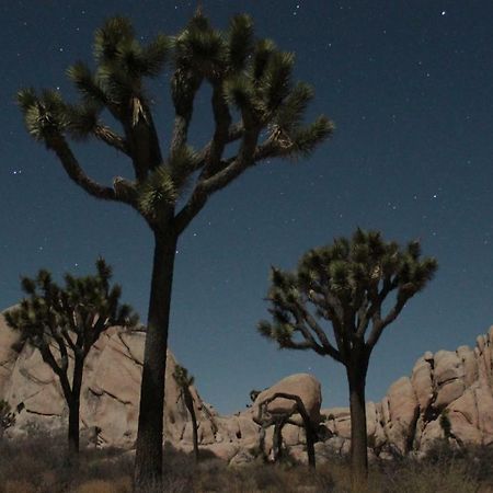 29 Hillside By Jtnp Visitor Center Villa Twentynine Palms Luaran gambar